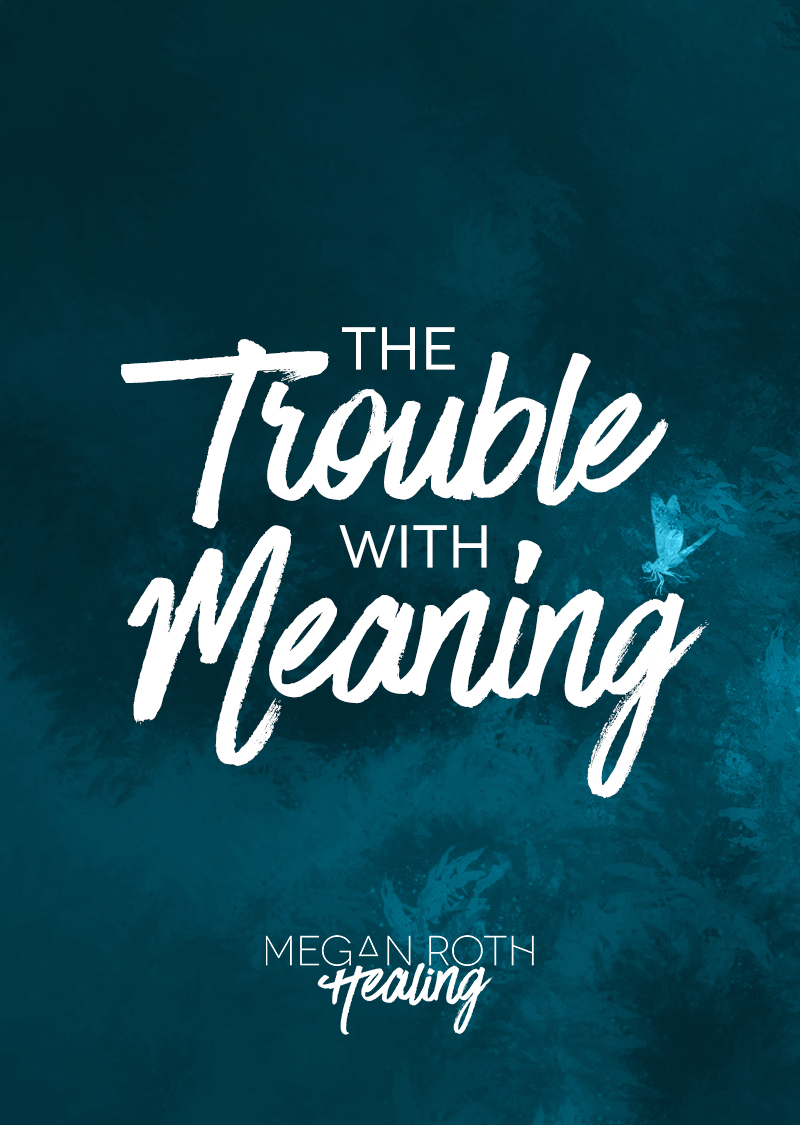 the-trouble-with-meaning